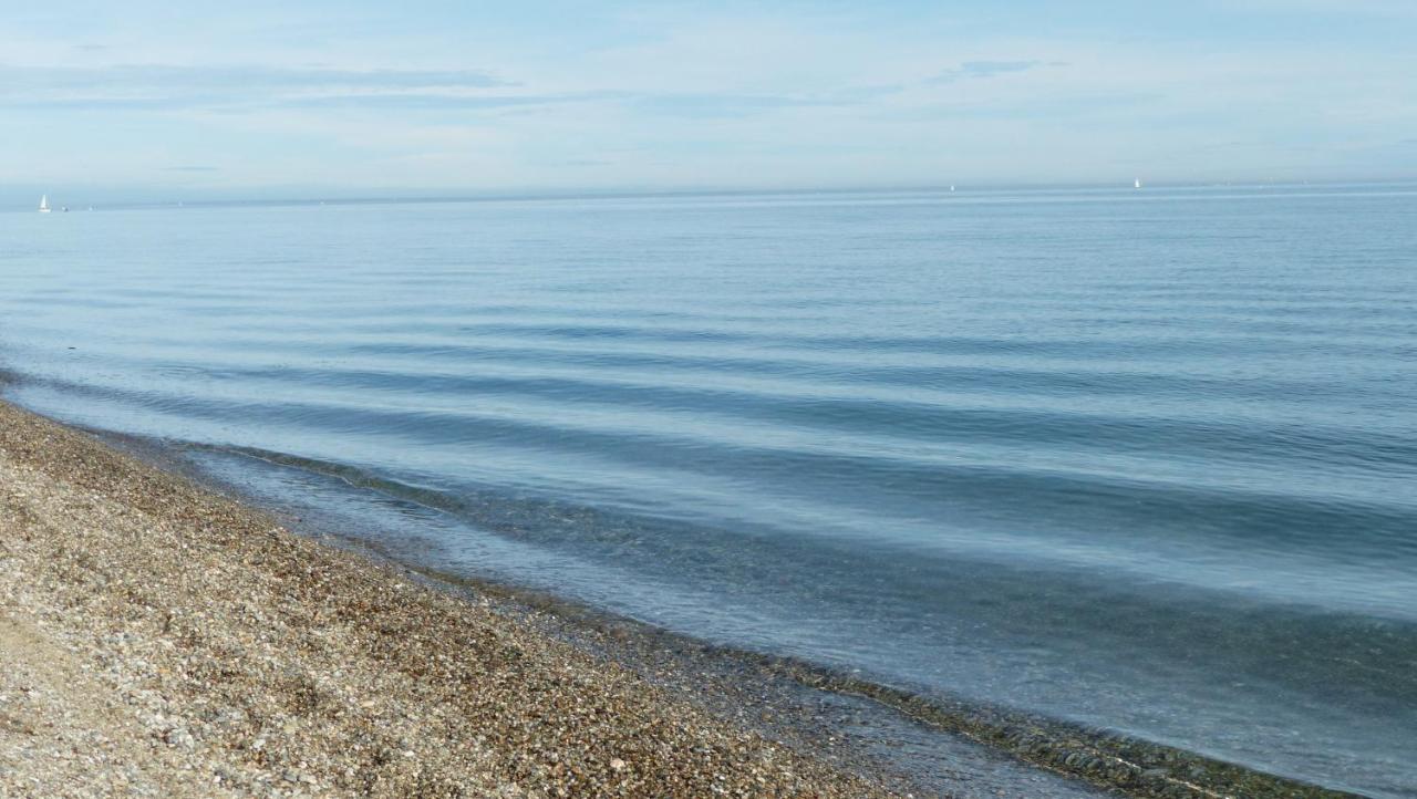 Belle Vue Sur Mer Au Calme อาร์เจเลส-ซัวร์-แมร์ ภายนอก รูปภาพ