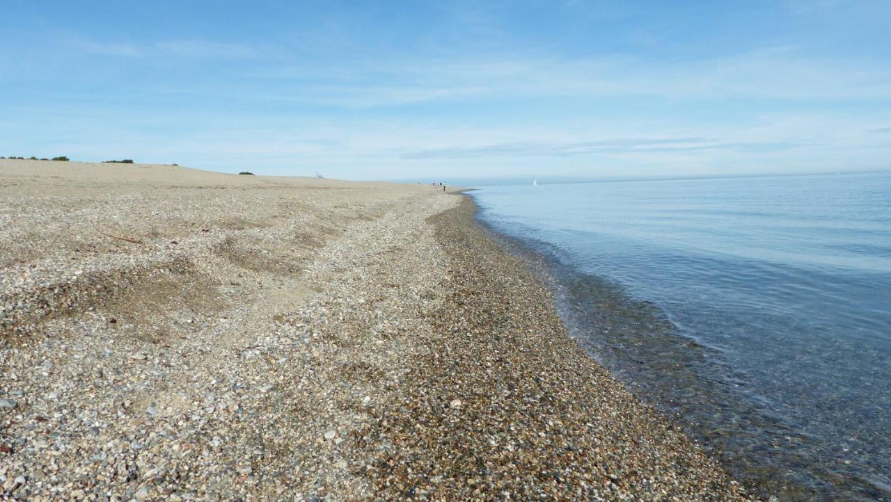Belle Vue Sur Mer Au Calme อาร์เจเลส-ซัวร์-แมร์ ภายนอก รูปภาพ