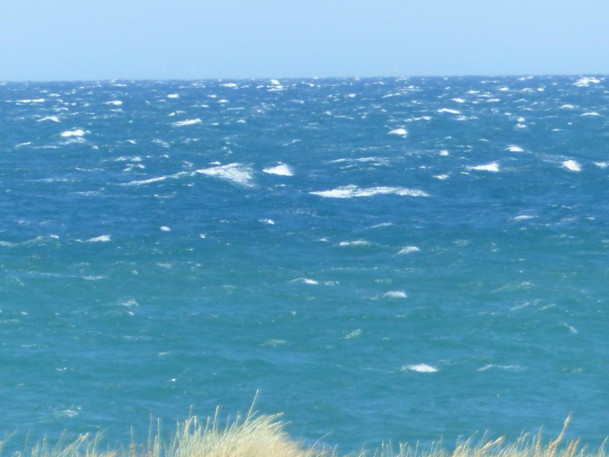 Belle Vue Sur Mer Au Calme อาร์เจเลส-ซัวร์-แมร์ ภายนอก รูปภาพ